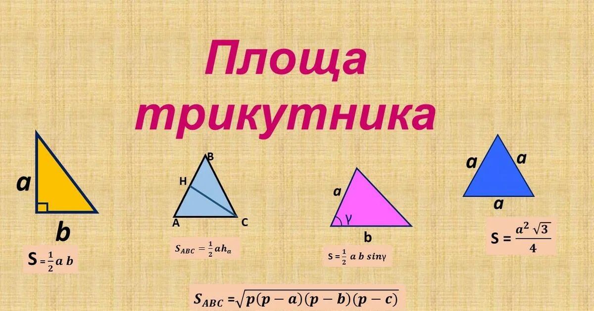 ploshha-pryamokutnogo-trykutnyka